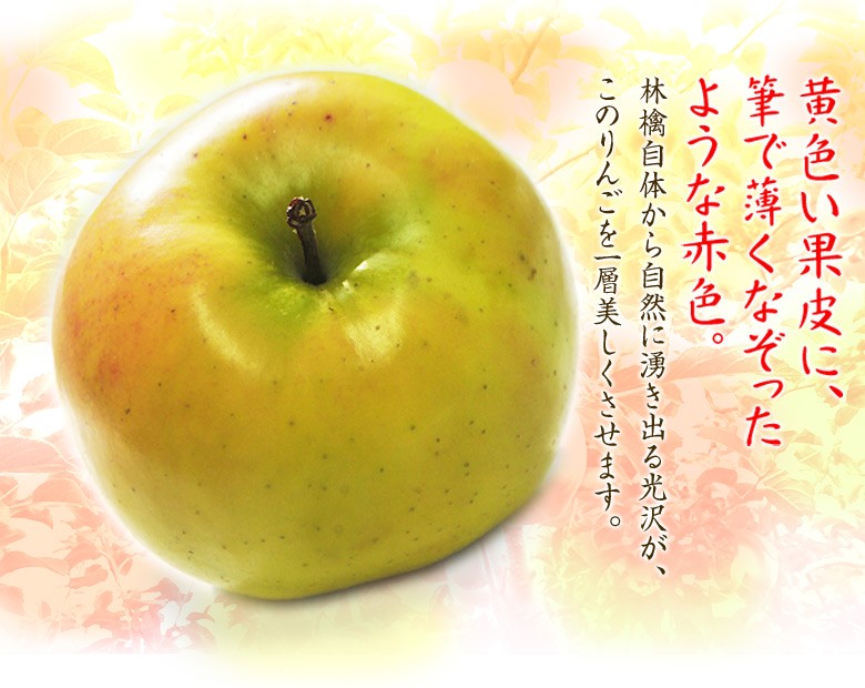 こうこう 青森県産りんご 特a 約3kg 8 11玉 ３箱まで送料１口で配送 豊洲市場ドットコム