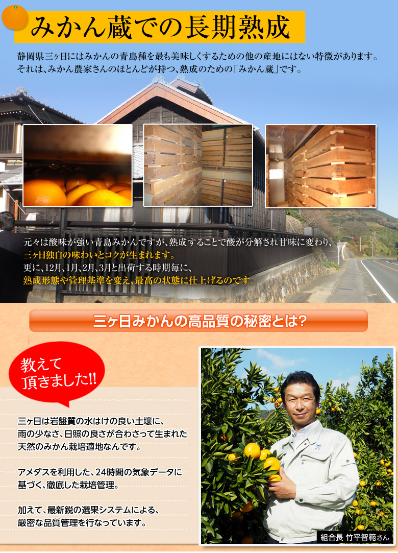 三ヶ日みかん 青島種 静岡県産 3 4lサイズ 約8kg Jaみっかび 常温 豊洲市場ドットコム