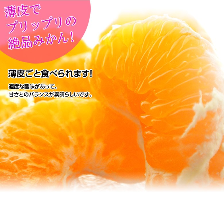 訳あり はるみ 愛媛県三崎産 柑橘 約5kg キズ スレ L 3lサイズ 産地箱 Ja西宇和 常温 豊洲市場ドットコム