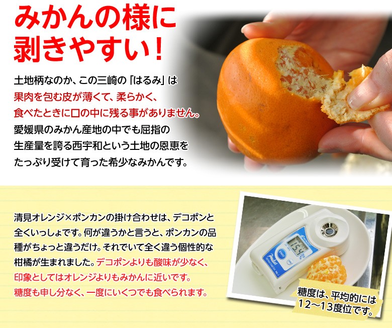 はるみ 愛媛県三崎産 柑橘 約5kg 優 秀品 2 3lサイズ 産地箱 Ja西宇和 常温 豊洲市場ドットコム