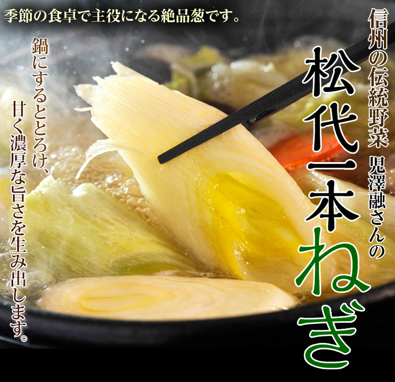 伝統野菜認定 松代一本ねぎ 長野県産 ねぎ 1箱 1 3本入 3袋 約1 5kg 産地箱入 常温 豊洲市場ドットコム