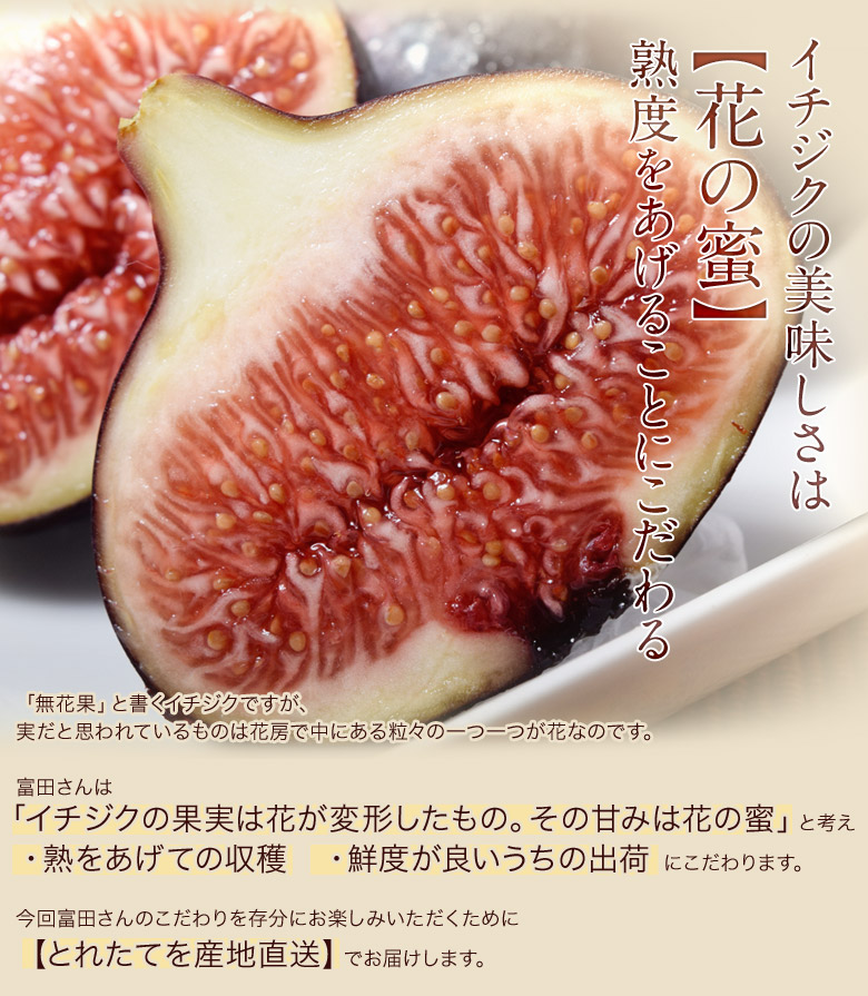 富田秀俊さんの ビオレソリエス 黒いちじく 佐賀県産 約300g 3 8玉 2パック 冷蔵 豊洲市場ドットコム