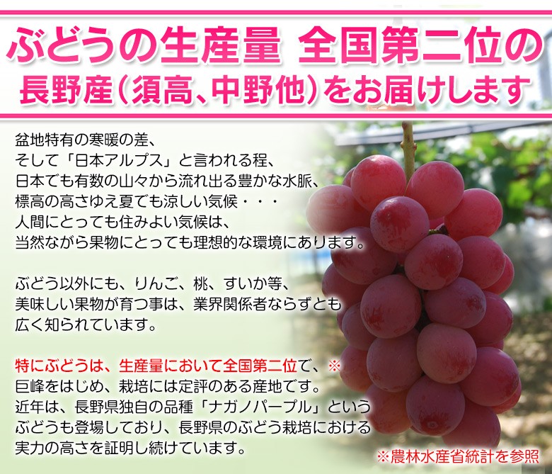 クイーンニーナ』長野県産 2房 合計約800g ※常温|豊洲市場ドットコム クイーンニーナ』長野県産 2房 合計約800g ※常温|豊洲市場ドットコム