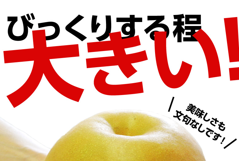 にっこり梨』栃木県産 大玉 秀品 約5kg( 5〜7玉)鮮度保持袋つき|豊洲市場ドットコム にっこり梨』栃木県産 大玉 秀品 約5kg( 5〜7玉)鮮度保持袋つき|豊洲市場ドットコム
