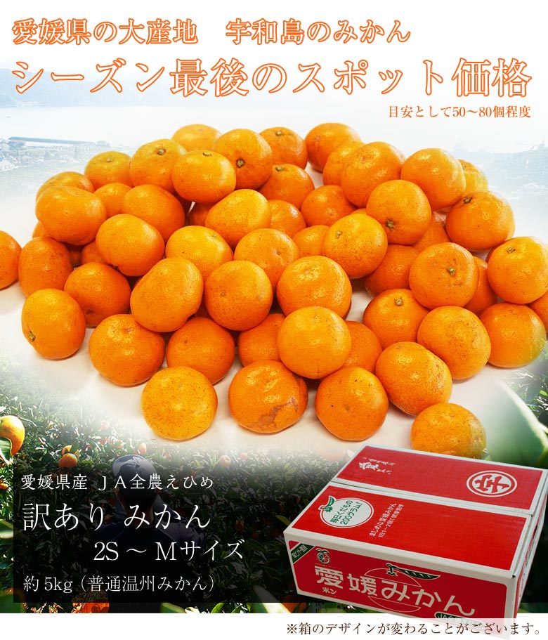 愛媛県産 訳ありみかん ２ｓ ｍサイズ 約5kg 豊洲市場ドットコム