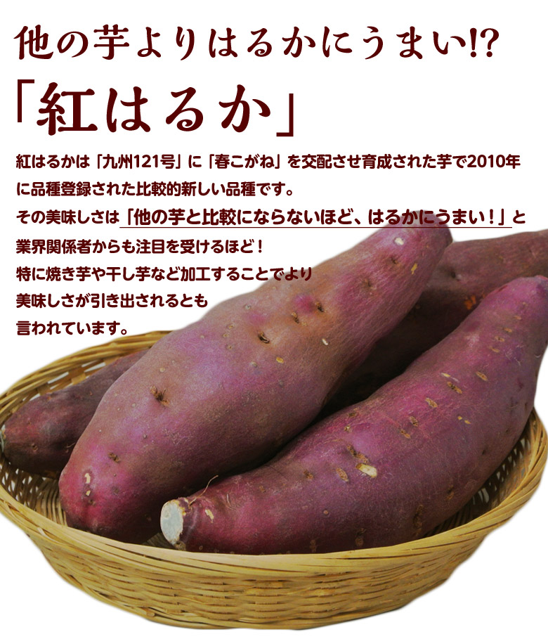 紅はるか 干し芋 茨城県産 100g 10p 常温 豊洲市場ドットコム