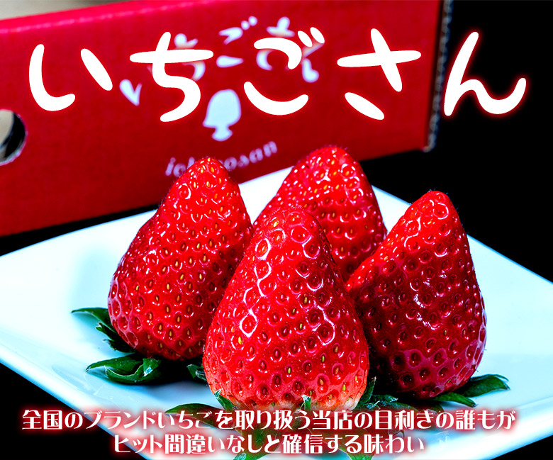 第二弾 ブランドいちご4品種食べ比べ 約1kg いちごさん ゆめのか ひのしずく 紅ほっぺ 冷蔵 豊洲市場ドットコム