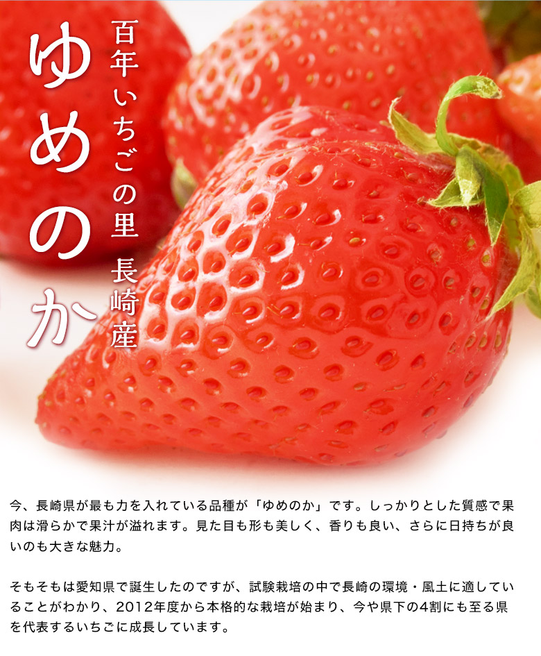 第二弾 ブランドいちご4品種食べ比べ 約1kg いちごさん ゆめのか ひのしずく 紅ほっぺ 冷蔵 豊洲市場ドットコム