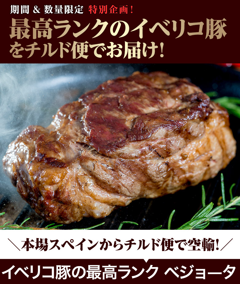 生イベリコ豚ベジョータ 肩ロースブロック 約500g スペイン産 冷蔵 豊洲市場ドットコム