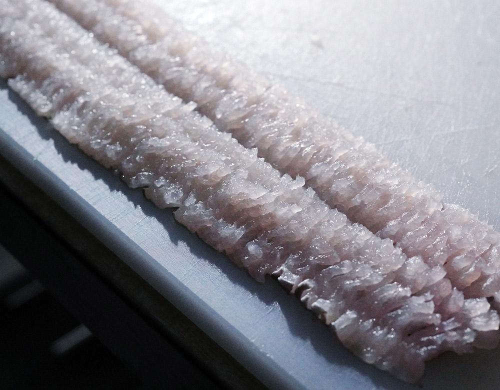 活〆 天然鱧 ハモ 兵庫又は熊本県産 1本分 約500g 鍋 落とし 鱧寿司などに 約4人前 冷蔵 豊洲市場直送 元気いただきますプロジェクト 豊洲市場ドットコム