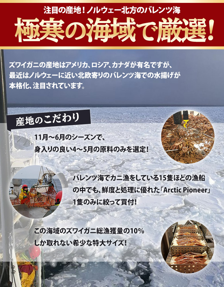 4 6人前 ボイルズワイ蟹 ノルウェー産 特大4 5肩 総重量2kg Net1 5kg 冷凍 豊洲市場ドットコム