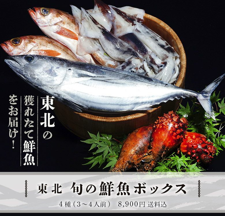 東北 旬の鮮魚ボックス 4種 3 4人前 冷蔵 豊洲市場直送 豊洲市場ドットコム