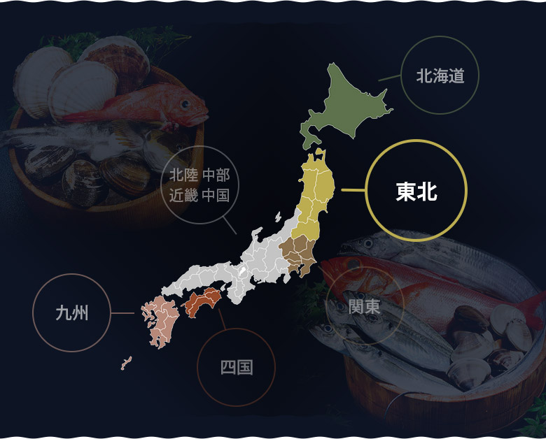 東北 旬の鮮魚ボックス 4種 3 4人前 冷蔵 豊洲市場直送 豊洲市場ドットコム