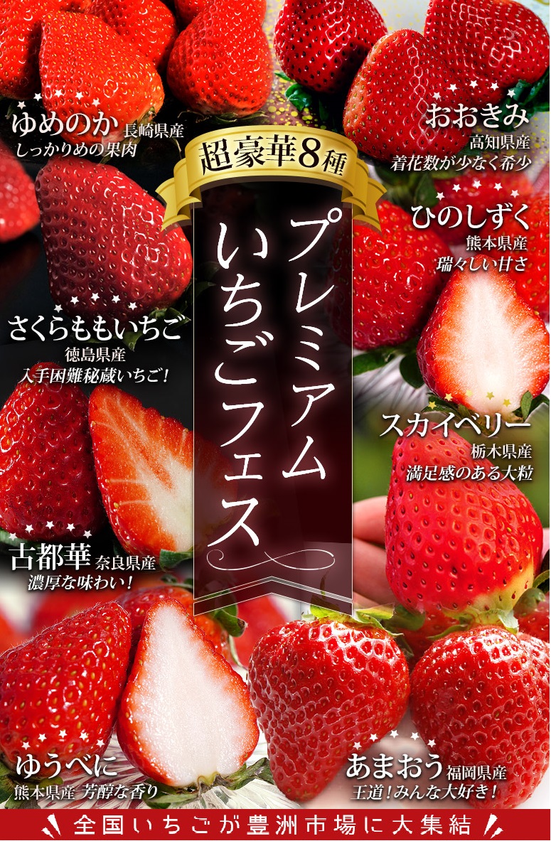 ８品種 大集結 プレミアムいちごフェス 合計約2kg 冷蔵 豊洲市場ドットコム