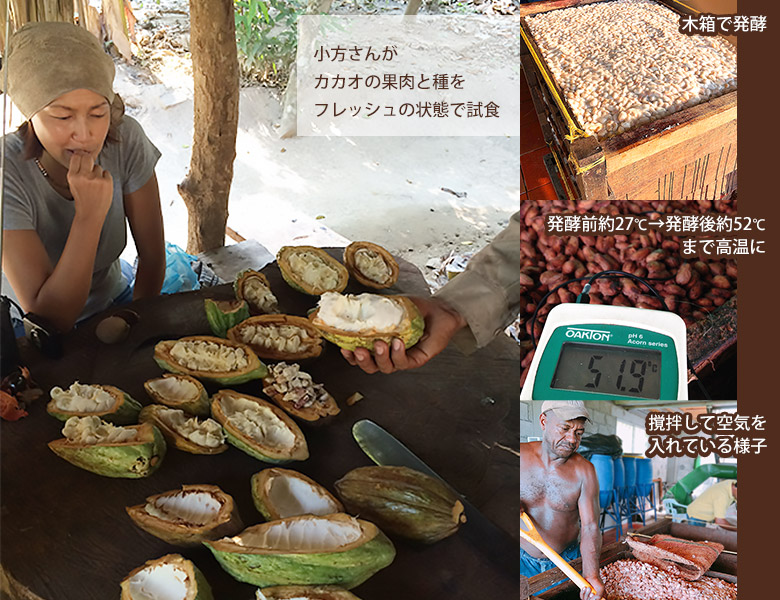 チョコレート コロンビア カカオ カカオハンターズ Cacao Hunters 小方真弓 おがたまゆみ ビーントゥバー 豊洲市場ドットコム