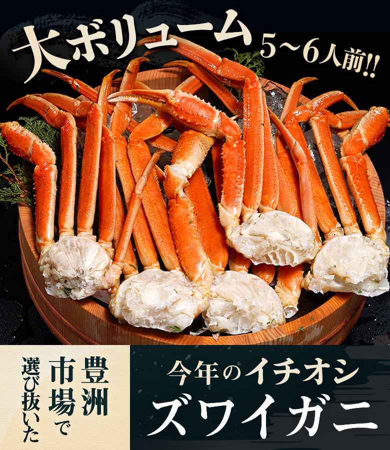特大ボイルズワイガニ 3 4lサイズ ロシア産 船凍品 5 6肩 総重量 グロス約2kg Net1 6kg 冷凍 豊洲市場ドットコム 特大ボイルズワイガニ 3 4lサイズ ロシア産 船凍品 5 6肩 総重量 グロス約2kg Net1 6kg 冷凍 豊洲市場ドットコム