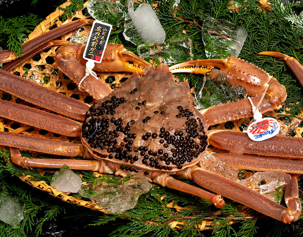 お取り寄せ 庄内北前ガニ ズワイガニ 山形 日本海 豊洲市場ドットコム