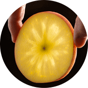 フルーツ 通販 豊洲のセリ人厳選 究極の果物 お取り寄せ 豊洲市場ドットコム