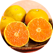 フルーツ 通販 豊洲のセリ人厳選 究極の果物 お取り寄せ 豊洲市場ドットコム