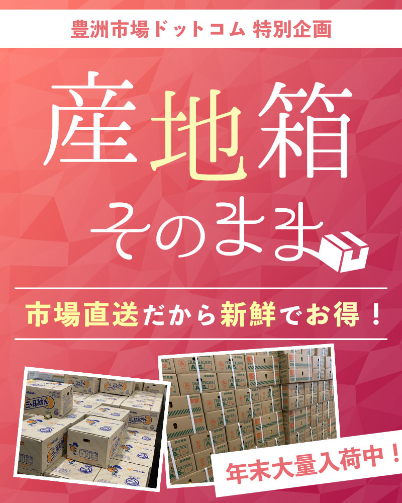 産地箱でお届け!市場直送だから新鮮でお得!
