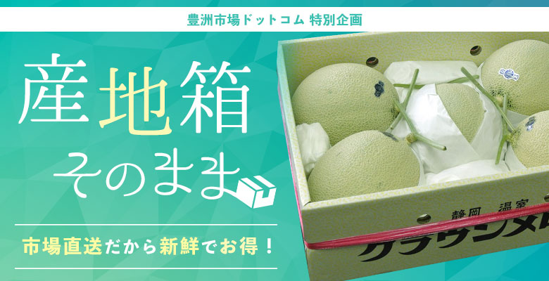 産地箱でお届け!市場直送だから新鮮でお得!