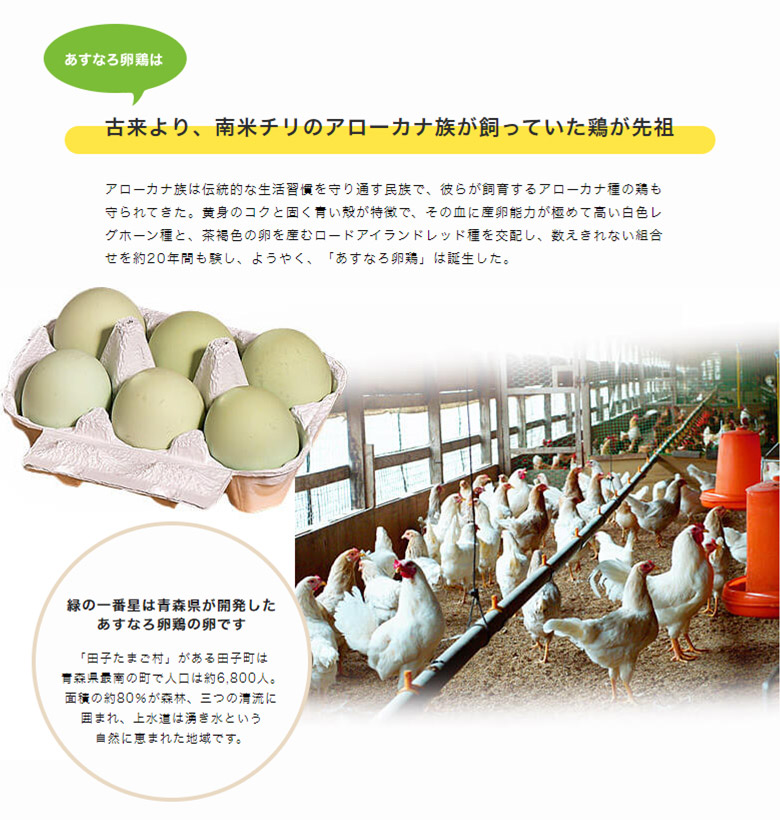 1425円 低価格で大人気の 田子たまご村 緑の一番星 30個 送料無料 卵 タマゴ 玉子 鶏卵 卵かけご飯 ギフト プレゼント 1425円 低価格で大人気の 田子たまご村 緑の一番星 30個 送料無料 卵 タマゴ 玉子 鶏卵 卵かけご飯 ギフト プレゼント