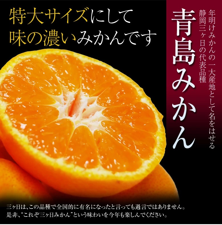 三ヶ日みかん
