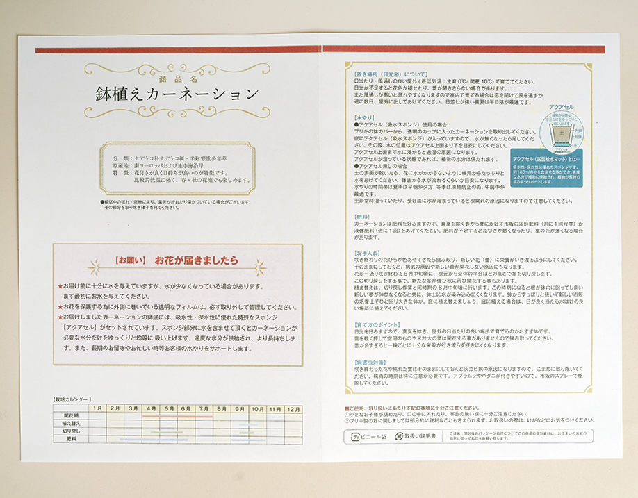 母の日 カーネーション 豊洲市場ドットコム