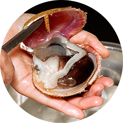 能登とり貝 豊洲市場ドットコム