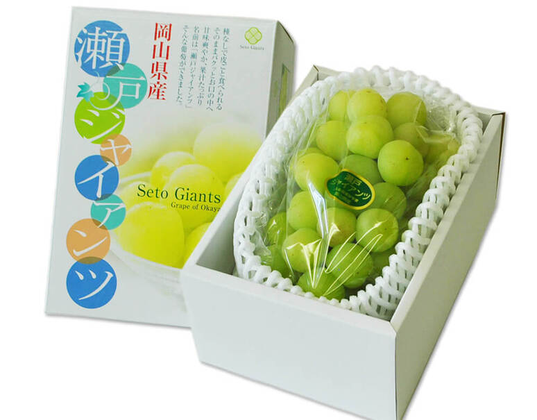瀬戸ジャイアンツ 岡山産 約700g 1房 化粧箱入 冷蔵 豊洲市場ドットコム