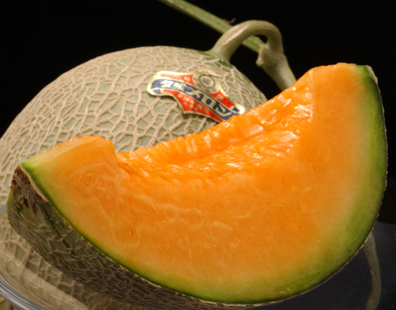 夕張メロン 等級 優 約1 6kg 1玉 専用箱入 北海道 夕張市農協検査場発 常温 豊洲市場ドットコム