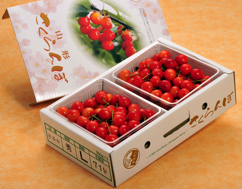 山形県産 さくらんぼ佐藤錦 秀品 大粒lサイズ 約700g 約350ｇ 2p 露地栽培 常温 豊洲市場ドットコム