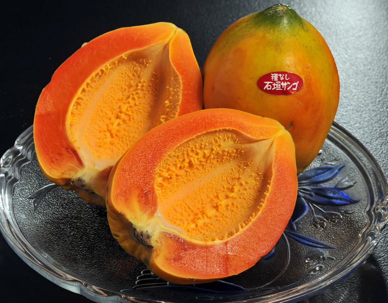 種無しパパイア『石垣珊瑚』 沖縄県石垣島産 約2kg(3〜6玉)|豊洲市場ドットコム 種無しパパイア『石垣珊瑚』 沖縄県石垣島産 約2kg(3〜6玉)|豊洲市場ドットコム