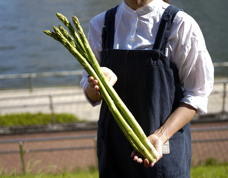 『さぬきのめざめ』香川県産 極太2L 40cm以上×20本 (約1.8kg）アスパラガス ※冷蔵 JA香川県｜豊洲市場ドットコム
