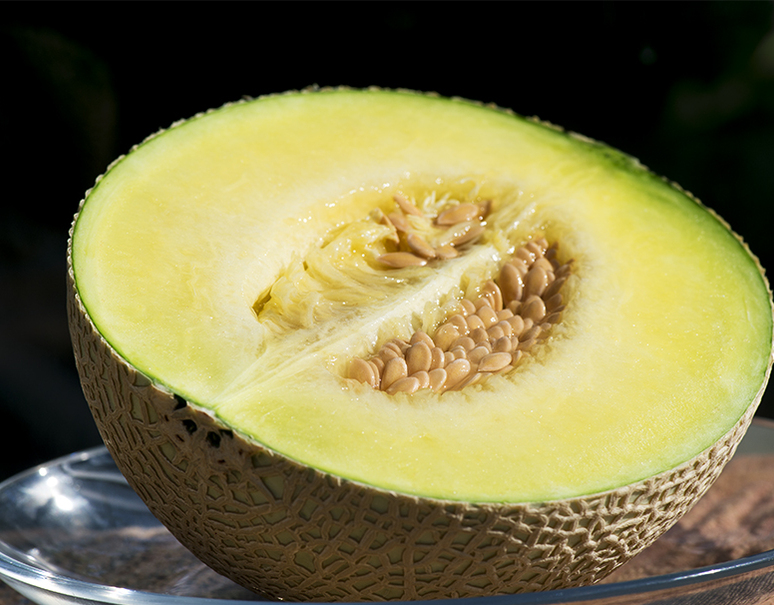 農林水産省 応援対象商品 クラウンメロン 静岡県産 白等級以上 小玉1玉 約1kg 簡易包装 常温 豊洲市場ドットコム