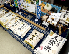 8/2〜14出荷 特別栽培米『天栄米』福島県産コシヒカリ 10kg(5kg×2袋)白米