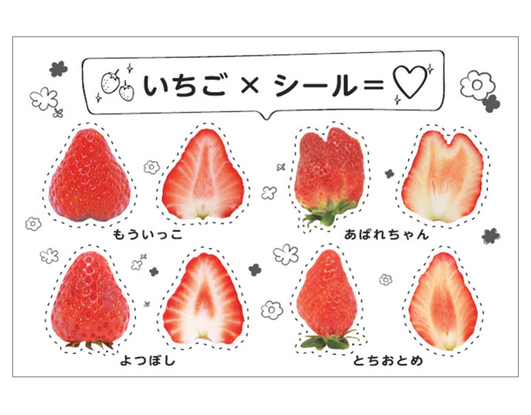 かわいい いちご断面図シールセット 5枚入り メール便 豊洲市場ドットコム