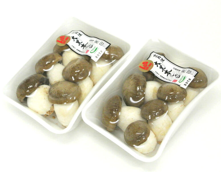 国産 本しめじ 1p 100g 5 7本 2p 冷蔵 豊洲市場ドットコム