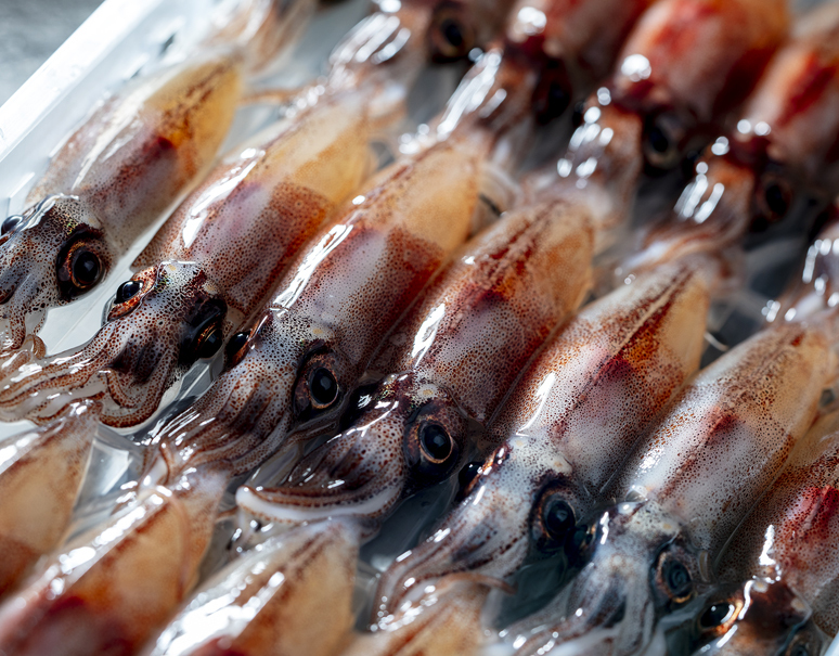 生ホタルイカ 加熱用 富山県産 2枚 16 21尾立 枚 冷蔵 豊洲市場直送 豊洲市場ドットコム