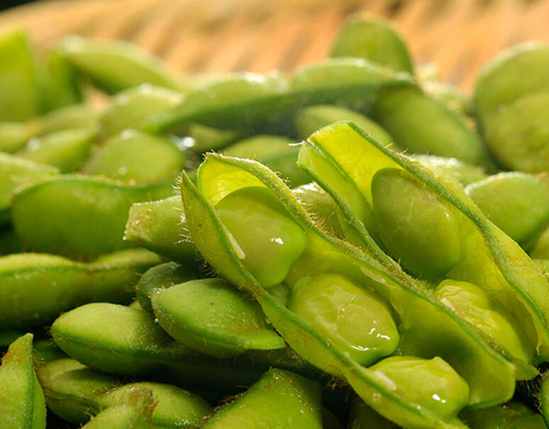 白毛枝豆 10袋 山形県鶴岡産 1袋 約250g 冷蔵 Ja鶴岡 豊洲市場ドットコム 白毛枝豆 10袋 山形県鶴岡産 1袋 約250g 冷蔵 Ja鶴岡 豊洲市場ドットコム