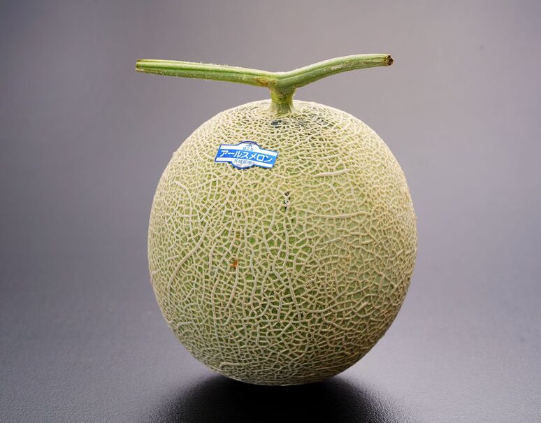 マスクメロン 茨城県産 Jaほこた Ja水戸ひぬま 他 アールス種 1玉 約1 3kg 簡易包装 常温 豊洲市場ドットコム