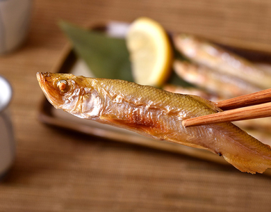 訳あり 無選別 本ししゃも 北海道産 500g 2袋 合計1キロ 90尾前後 冷凍 豊洲市場ドットコム