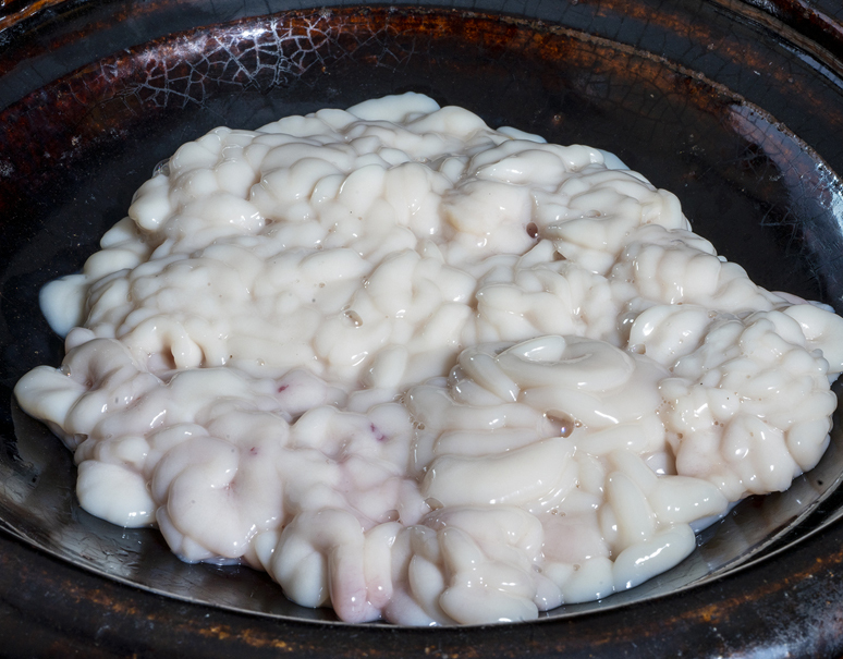 相場下落 真鱈の本白子 アラスカ産 1箱 約500g 冷蔵 豊洲市場直送 豊洲市場ドットコム