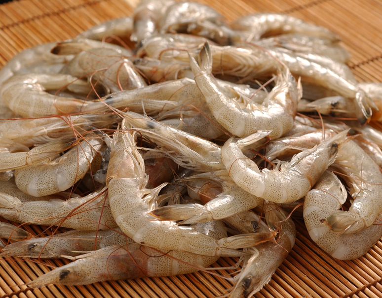 芝海老 しばえび 佐賀県産 約1kg 冷蔵 豊洲市場直送 T 豊洲市場ドットコム