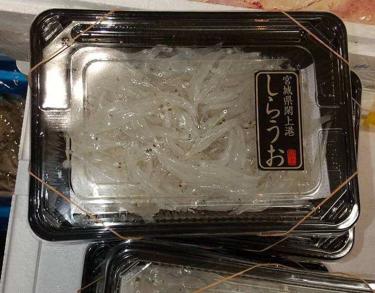 生白魚 宮城県閖上港産 約0g 1パック 冷蔵 豊洲市場直送 Y 豊洲市場ドットコム