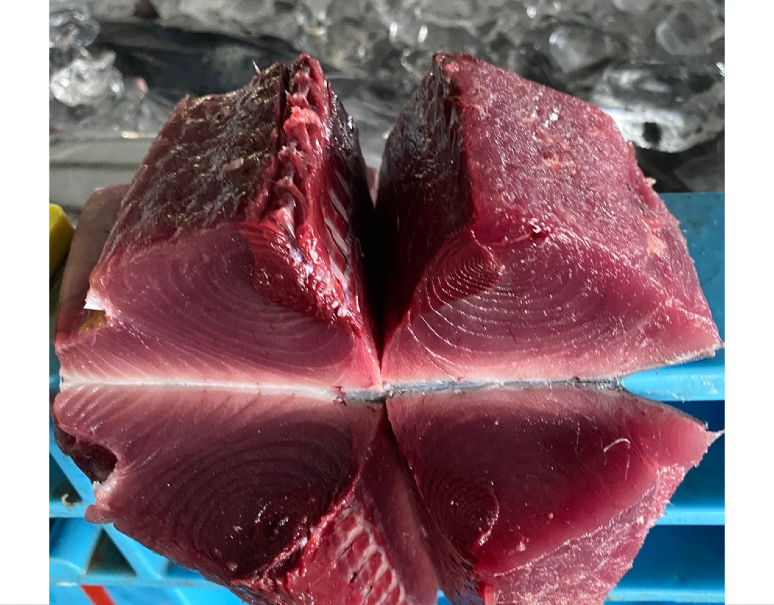 釣生かつお 半身 宮城県産 約850g 冷蔵 T 豊洲市場ドットコム