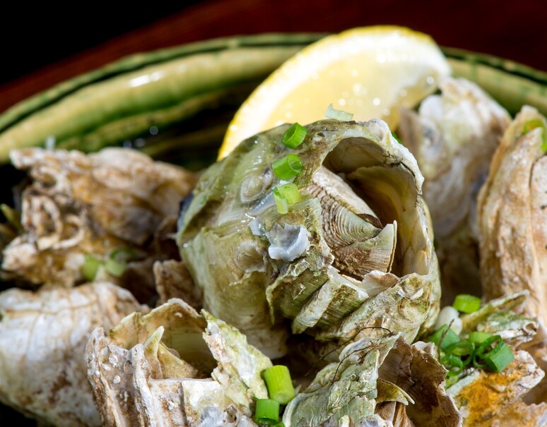 フジツボ 青森県産 約1kg 約50g 粒 冷蔵 豊洲市場直送 S 豊洲市場ドットコム