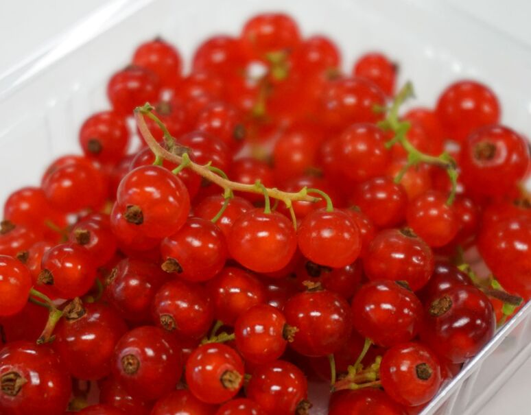 豊洲朝市 蔵王すぐり 赤すぐり 白すぐり 各1パック 約70g 合計2パック 山形県産 冷蔵 豊洲市場ドットコム