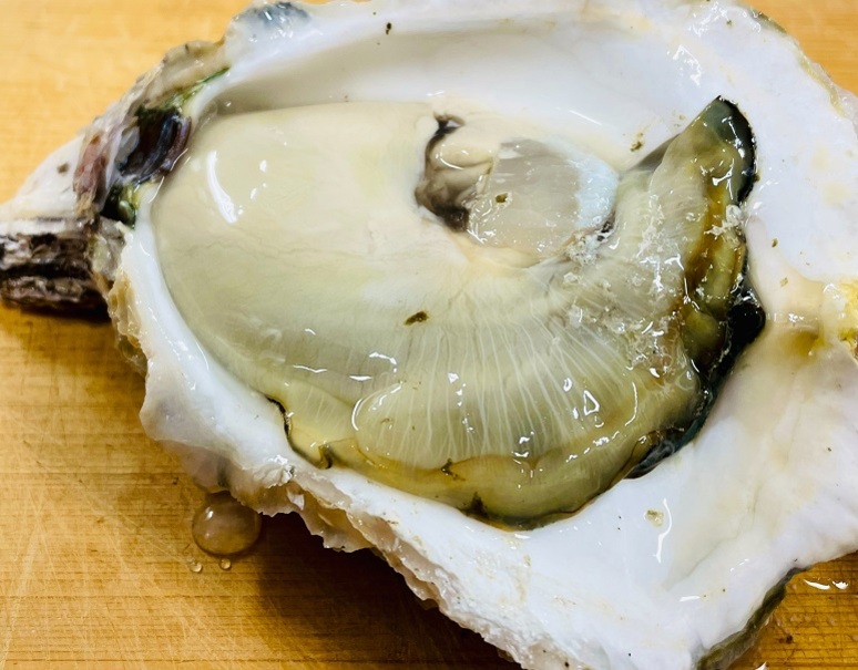 岩牡蠣 鹿児島県産 6個 300g前後 個 生食用 冷蔵 S 豊洲市場ドットコム