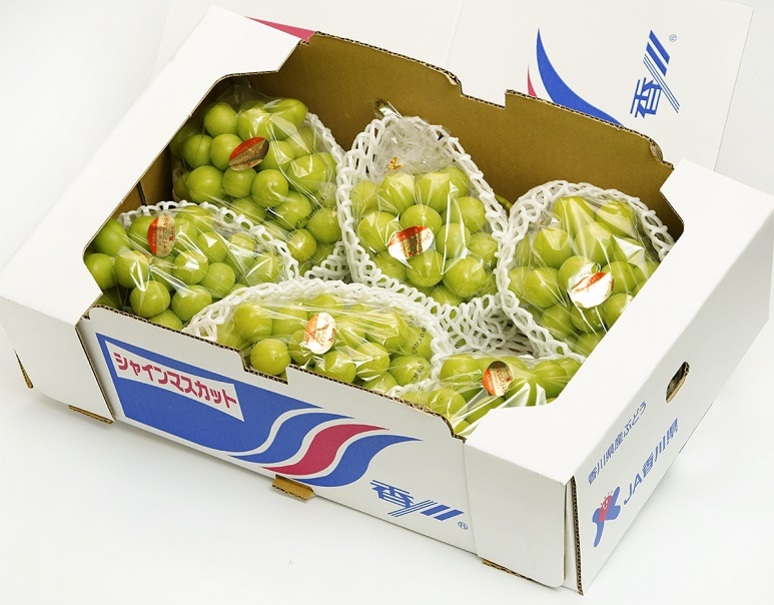 超特大 シャインマスカット 香川県産 ぶどう 1房 約800g 簡易梱包 冷蔵 Ja香川県 豊洲市場ドットコム